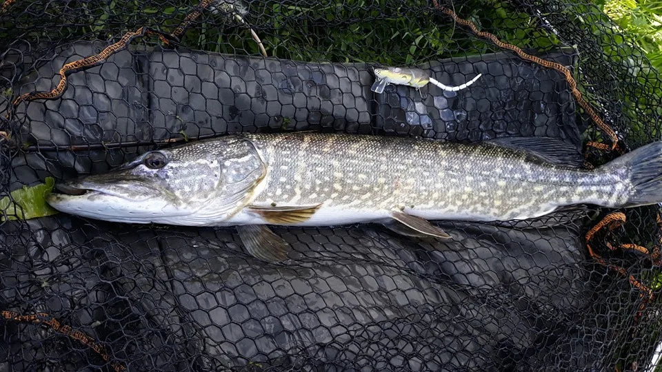 1PCS Swimbaits Mouse Lures Artificial Floating Surface 85mm/17g Wobblers Bionic Spro BBZ Rat Baits For Pike Fishing Pesca Bass